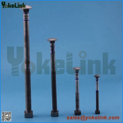 Hot dip galvanized Carriage bolt