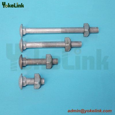 Carriage Bolt