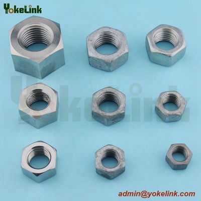 Hex Nut