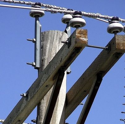 ANSI/IEEE C135.22. Insulator Pole Top Pin For Poleline Hardware